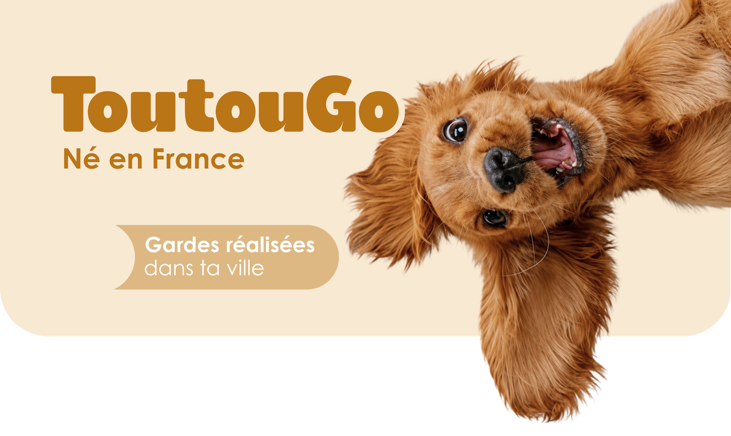 ToutouGo — Né en France