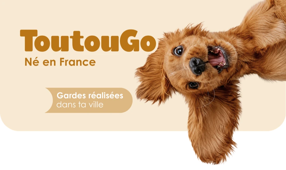 ToutouGo, né en France